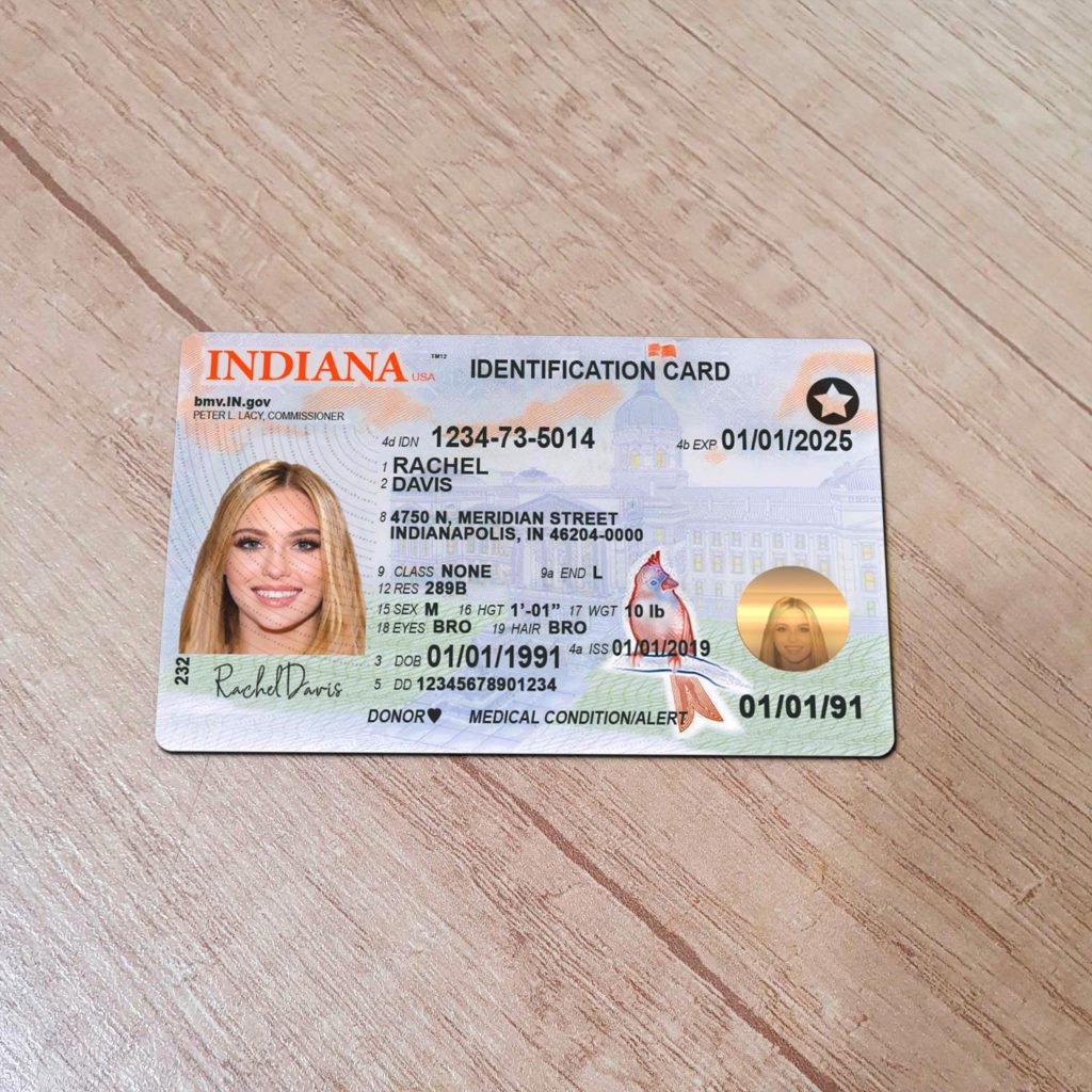 Front-facing Indiana novelty driver license with glare