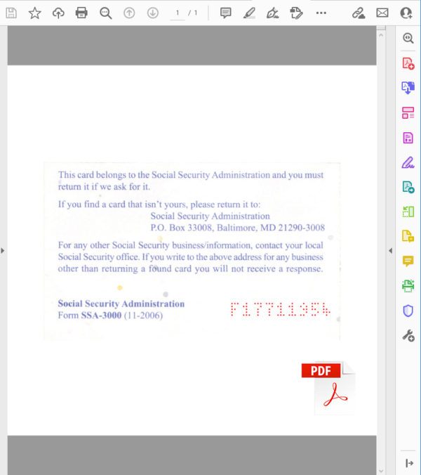 SSN PDF Editable (Do It Yourself)
