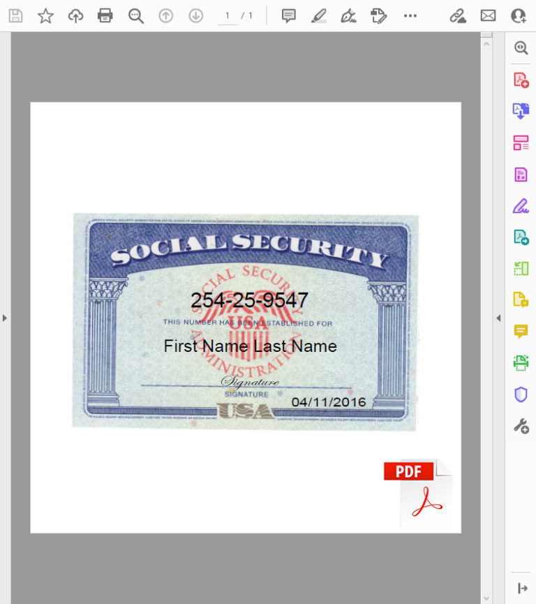 Ssn File SSN PDF Editable (Do It Yourself)
