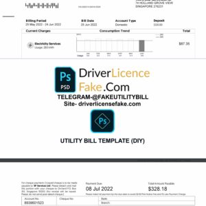 Singapore U template