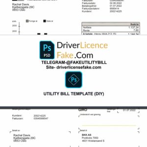 Norway utility bill template