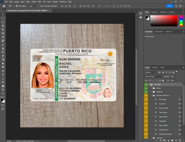 Puerto Rico Driver Abstract Puerto Rico DL Template | Editable + Printable File