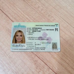 Canada New Brunswick Driver License template