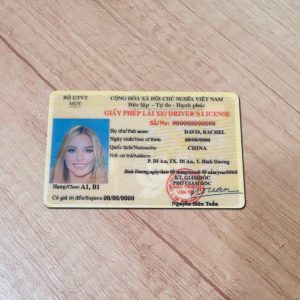 Vietnam driver license template